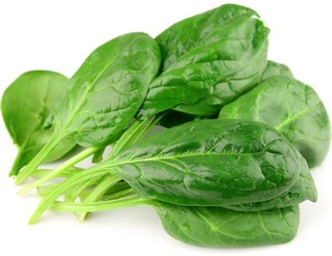 spinazie koken tips en recepten groentegroentenl