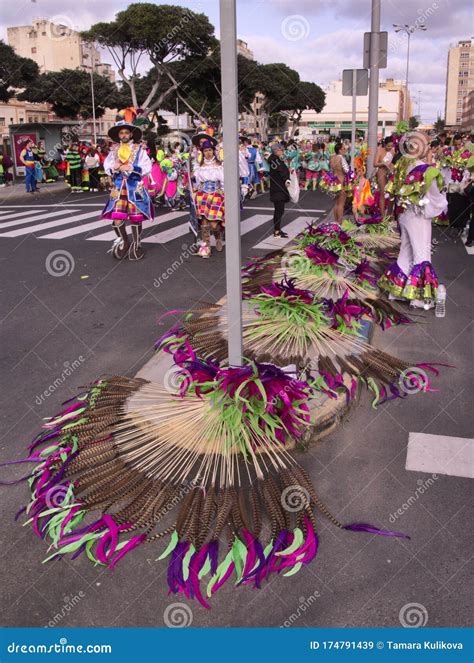 las palmas carnival parade  editorial stock image image  christian individuality