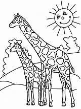 Girafa Girafas Criar Realistas Infantis Atividades Poderá Fofinhas Certamente Tem Poplembrancinhas sketch template