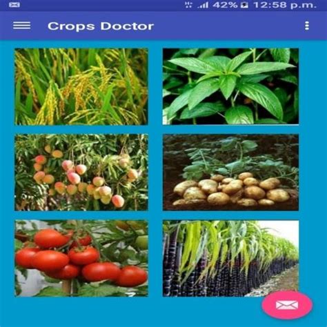 Flowchart Of Crops Diseases Detection And Solution System Download
