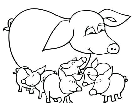 coloring pages  cute pigs  getcoloringscom  printable