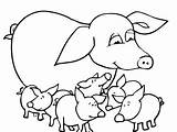 Baby Pig Pages Coloring Cute Pigs Drawing Piglet Suitcase Printable Color Getcolorings Getdrawings Print sketch template