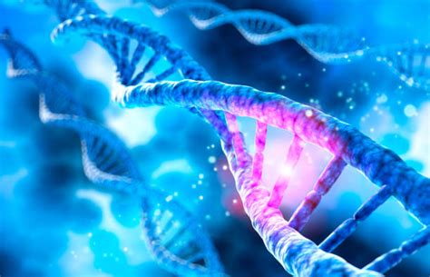 dna mutation stock  pictures royalty  images istock