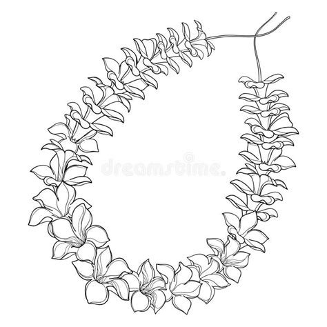 lei flowers coloring pages  printable coloring pages