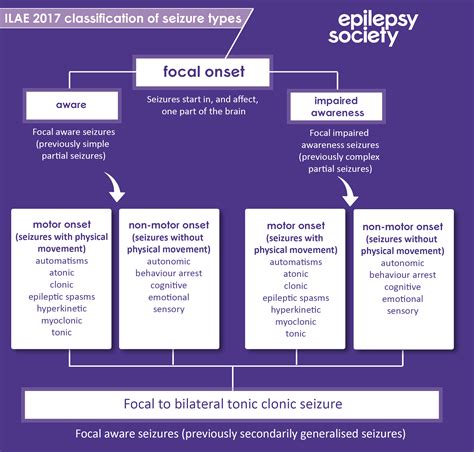 ilae  seizure classification     seizure names