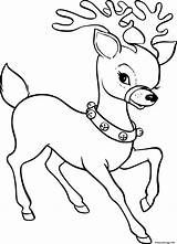 Coloriage Reindeer Renne Cliparts Femelle Sheets Becuo Nosed Rudolph sketch template