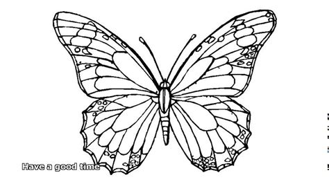 butterfly coloring clipart