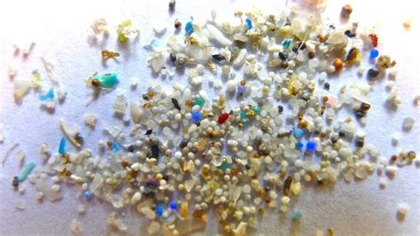 billions  tons  plastic weve dumped   oceans  missing fly life magazine
