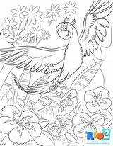 Rio Coloring Pages Printable Sheets Para Colorear Print Kids Colouring Movie Color Disney Bird Rio2 Printables Cartoon Fheinsiders Dibujos Drawings sketch template
