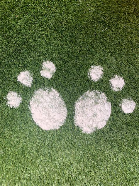 easter bunny footprint easter bunny footprint stencil etsy nederland