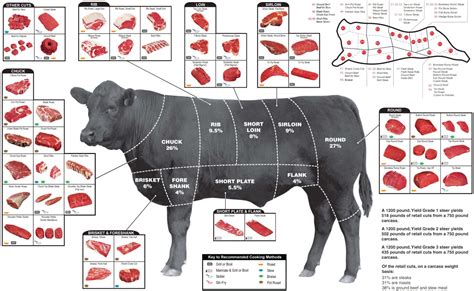 full natural beef   family  friends