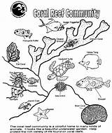 Coloring Coral Reef Kids Pages Popular sketch template