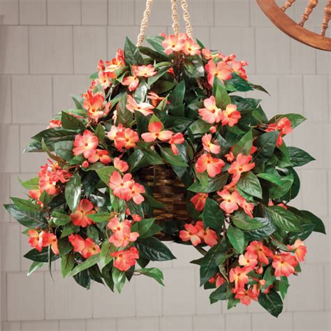 Impatiens Hanging Bush Hanging Basket Walter Drake