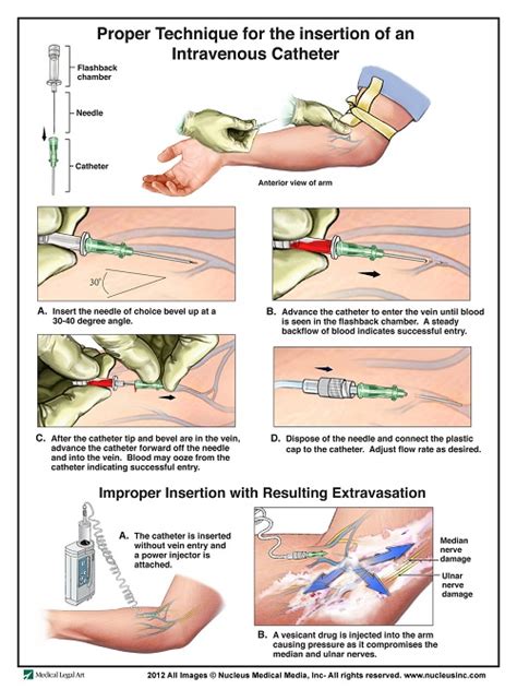 Blow Job Tips Vein Porn Galleries