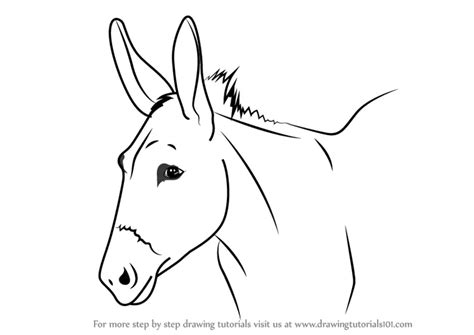 draw  donkey face animal faces step  step