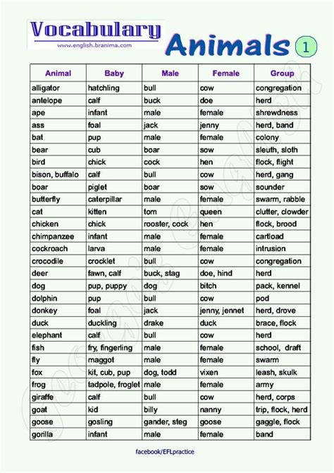 122 Best Vocabulary Esl Efl In Secondary Education