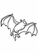Pages Vampire Bat Coloring Getcolorings Fledermaus Malen sketch template