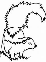 Coloring Skunk Pages Gaddynippercrayons Printable Kids Baby sketch template