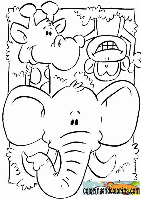 animal coloring pages  kids    zoo animals printables