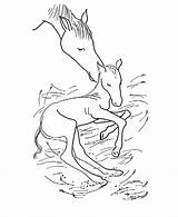 Tegninger Heste Yeguas Sparet Tjent Pferd Sjove Hest Ausmalbilder Xcolorings sketch template