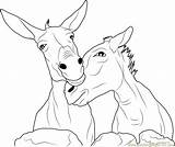 Domestic Coloring Donkey Animal Pages Coloringpages101 sketch template