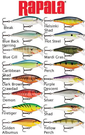 rapala scatter rap shad  rap nmscrs fishing lures fishing tips saltwater fishing
