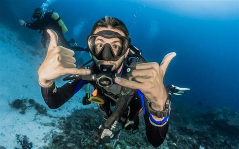 learn  dive australia gapseekers