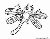 Libellule Libellula Insecte Dragonfly Libelula Souriant Coloring Libélula Anak Buku Mewarnai Acolore Dewasa Pngegg sketch template