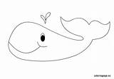 Whale Coloring Kids Coloringpage Pages Colouring Eu Animal Visit sketch template