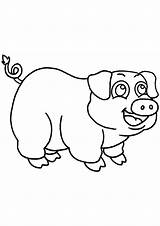 Cochon Coloriage Animaux Imprimer Dessiner Coloriages Inde Kb Primanyc sketch template