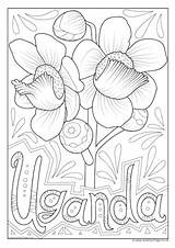 Coloring Pages Leone Sierra Flower National Colouring Uganda sketch template