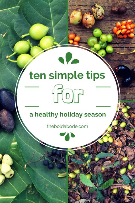 simple tips    healthy holiday season