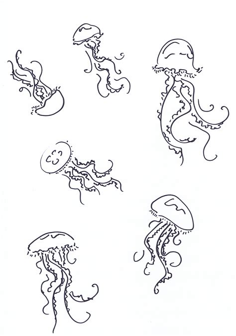 related image jellyfish drawing jellyfish art jellyfish painting