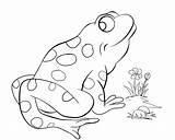 Coloring Frog Pages Tree Red Printable Pond Cute Bullfrog Prince Eye Colouring Eyed Color Getcolorings Comments Flower Coloringhome Getdrawings Popular sketch template