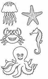 Animales Marinos Animado Acuáticos Colorearimagenes Dibujar Marino Salvajes Peces Siluetas Oceano Aquí Encontrarás Unos Faciles Cuantos Fondos Invertebrados Caballito Caballos sketch template