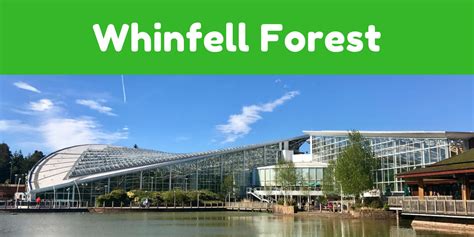 center parcs whinfell forest review  visit   toddler   baby  small human