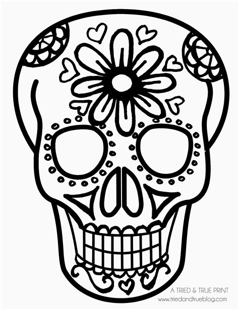 como dibujar una calavera facil  ninos weepil blog  resources