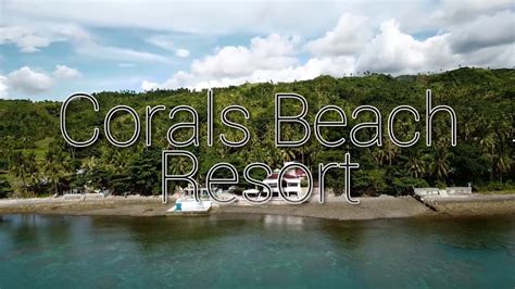 corals beach resort youtube
