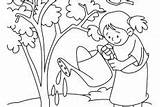 Watering Arbor Coloring Tree Pages Her Girl sketch template
