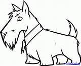 Scottish Scottie Draw Dragoart Cliparts sketch template