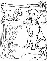 Lovers Coloring Dog Pages Printable sketch template