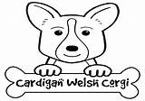 Corgi Welsh sketch template