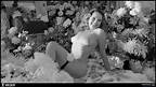 Myrna Loy Nude Photo