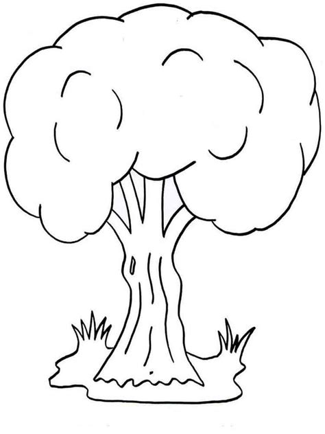 trees coloring pages