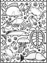 Mollusk Coloring Pages Color Animal Print Back sketch template