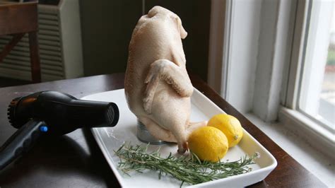 how to defrost a turkey answers from the web tds home