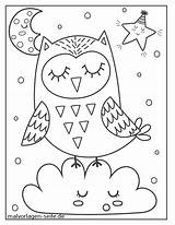Eule Eulen Malvorlage Owls Sleeping Verbnow Schlafend Malvorlagen Seite sketch template
