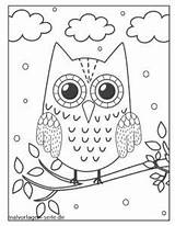 Eule Malvorlage Eulen Ausmalen Sova Stranice Ast Kostenlose Owls Lumi Boja Verbnow Vögel Einem Bojanje sketch template
