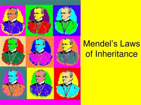 Ppt Mendels Laws Of Inheritance Powerpoint Presentation Free