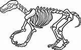 Dinosaur Fossil Drawing Getdrawings Skeleton sketch template